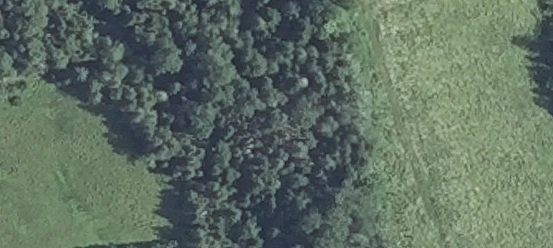 Us Rte 1st 1