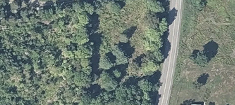Dexter Rd