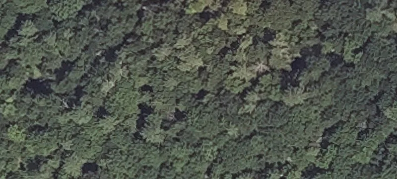 Goose Rocks Rd