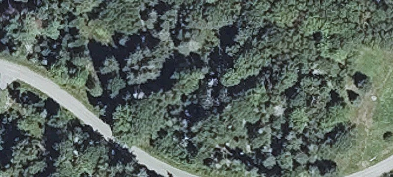 8 Old Woods Rd