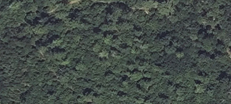Turning Leaf Dr