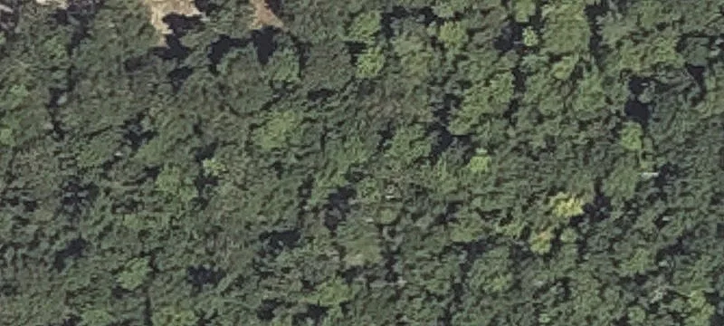 State Rte 46