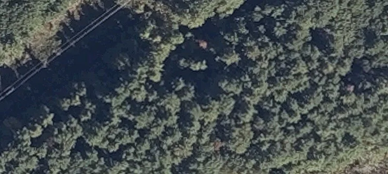 Rte 236