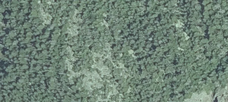 Pettegrow Pt Rd