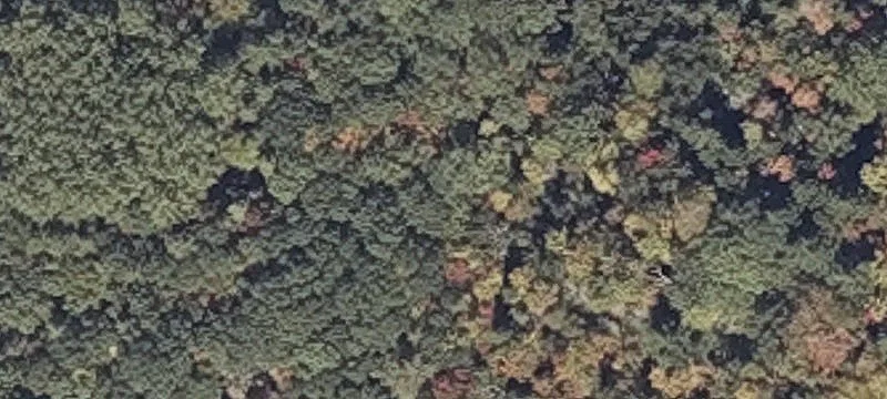 Atlantic Hwy