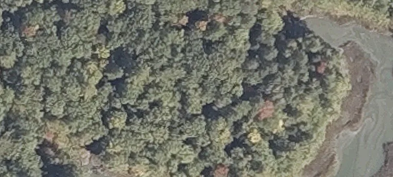 Lambert Rd