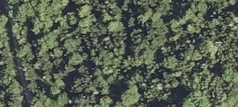 Us Rte 1st 1