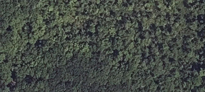 Whitten Hl Rd