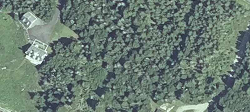 Yoho Head Rd