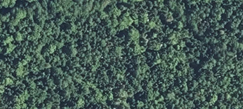 Princeton Rd