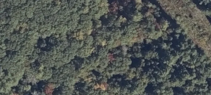 Rte 236