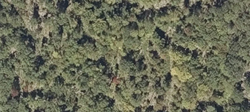 Bear Mtn Rd