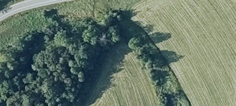 Trafton Rd