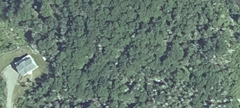Yoho Head Rd