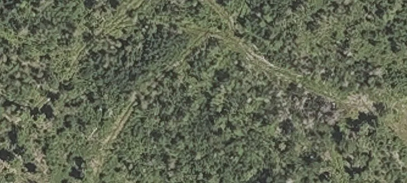 Us Rte 202
