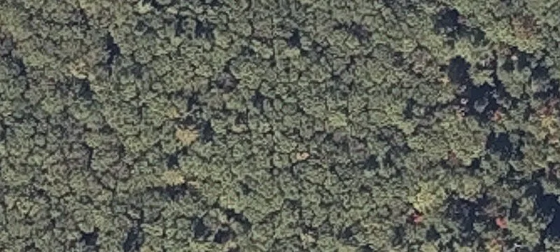 Rollins Hl Rd