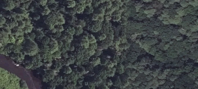 Gray Rd