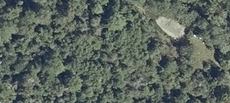 458 Wilson District Rd
