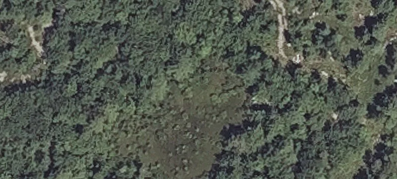 Proctor Rd