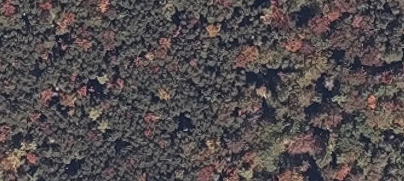 Old County Rd