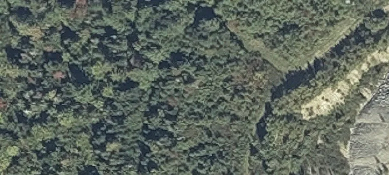 Harding Rd