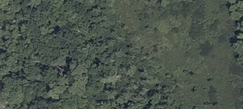 State Rte 100