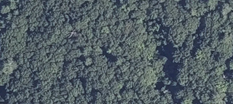 Jones Woods Rd