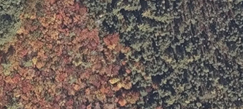 Poland, ME 04274