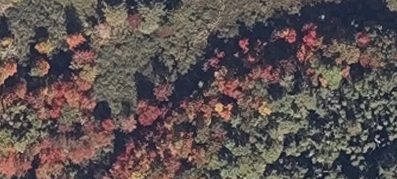 Old County Rd