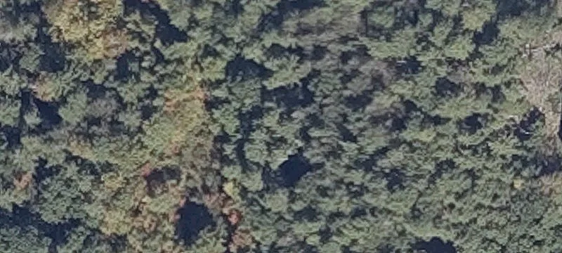 Wing Farm Rd