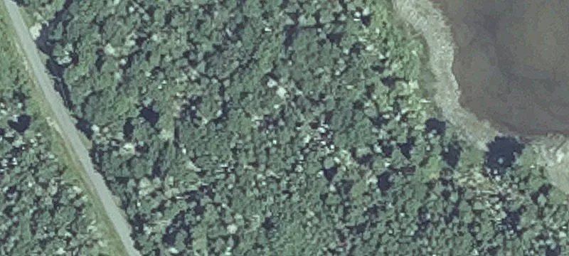 Yoho Head Rd