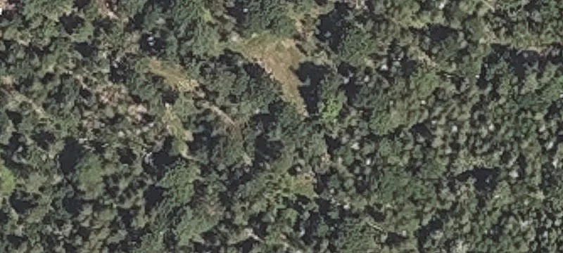 45 Willis Rd