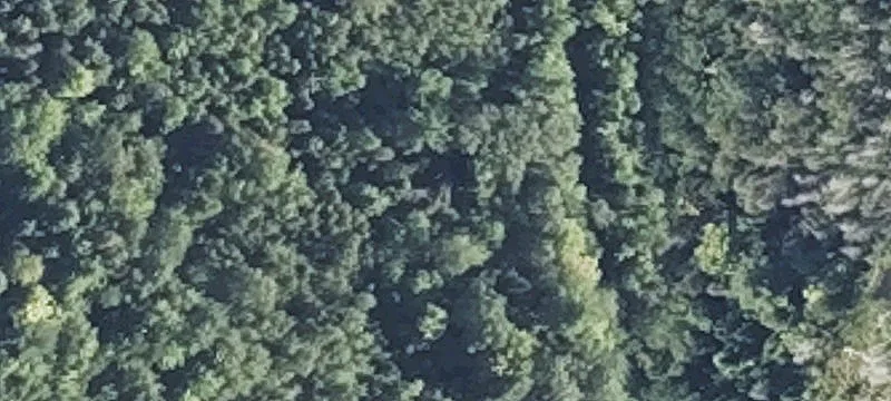 Owlsboro Rd