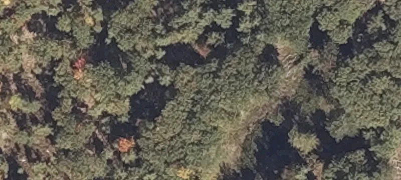Boundary Rd