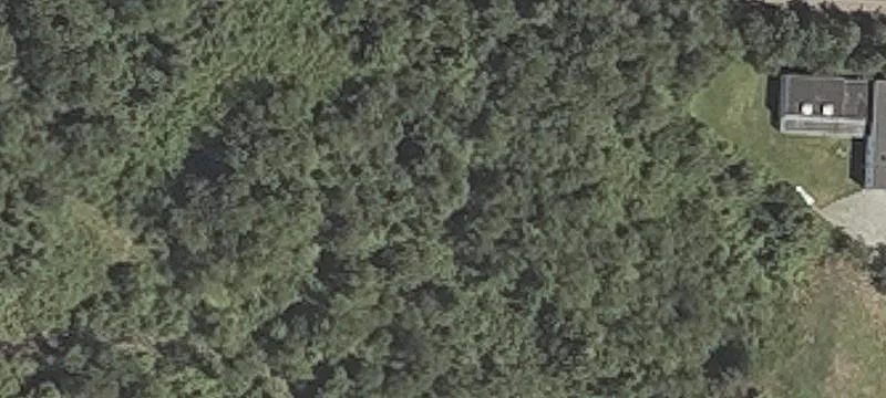 Triangle Rd