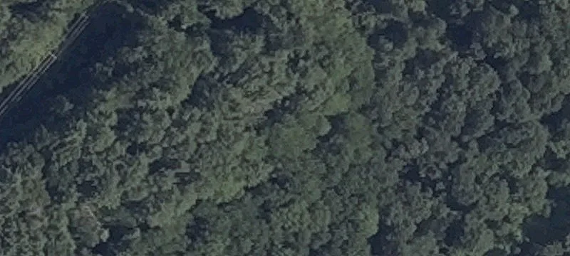 Lunt Dr