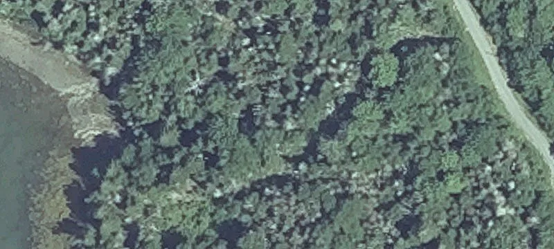 11 Collins Cv Rd