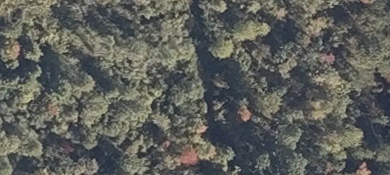 Headwater Rd
