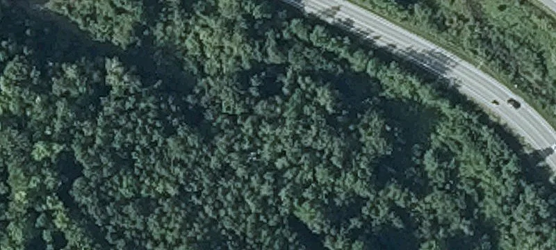 Whitten Rd