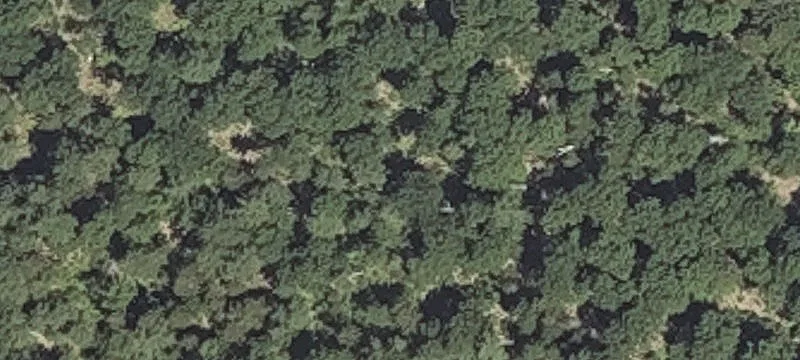 800 Bucksmills Rd