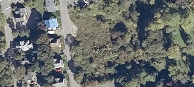 Cottage St