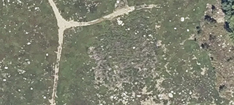 Old County Rd