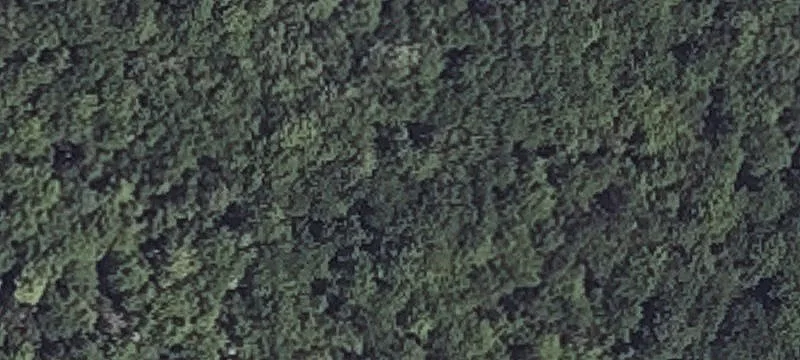 Regina Dr