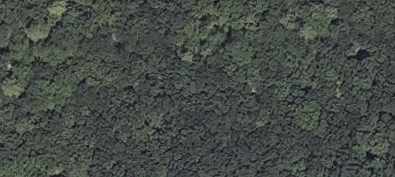 Guinea Rd