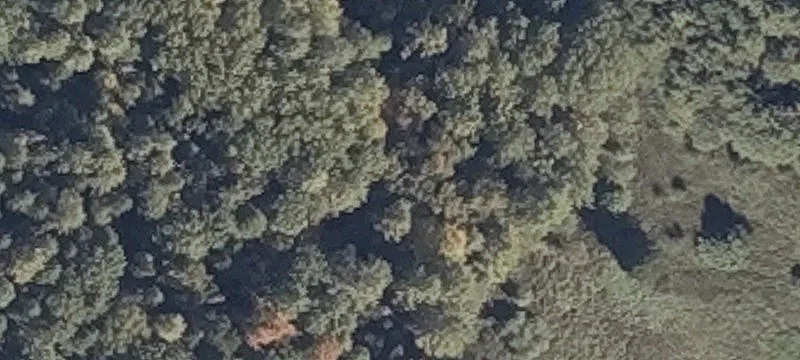 Old County Rd
