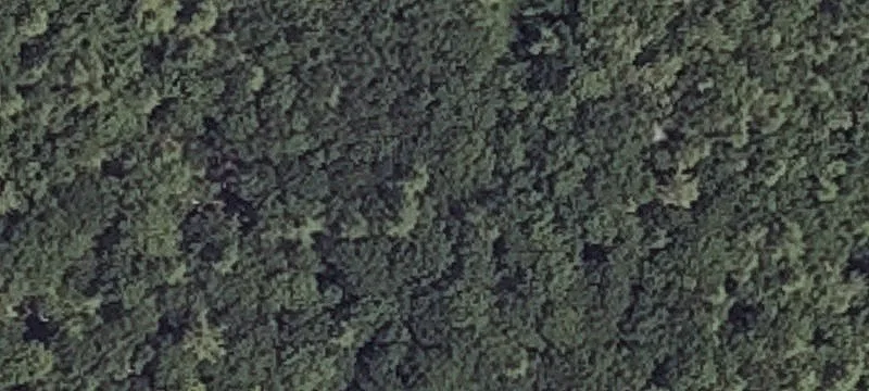 Guinea Rd
