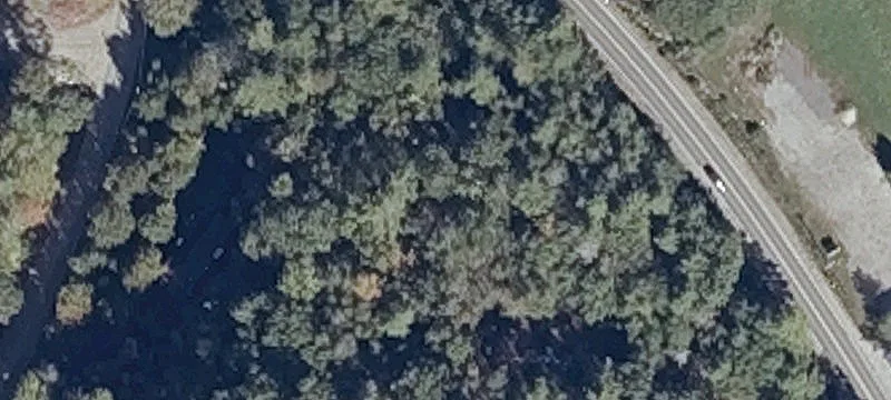 Main Rd
