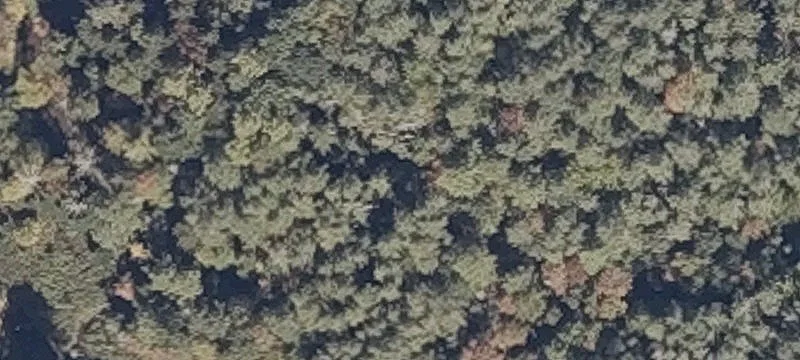 Flying Pt Rd
