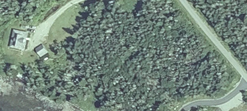 Yoho Head Rd