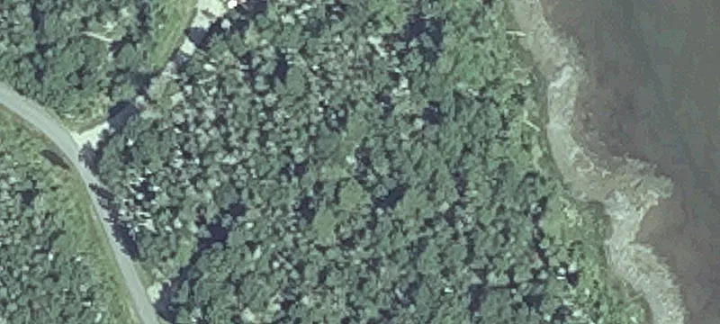 Yoho Head Rd